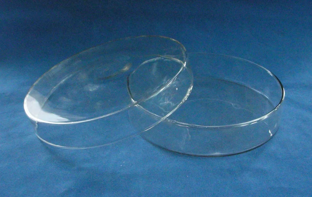 glass tissue culture plate petri dish lab 180 mm Newin Educational