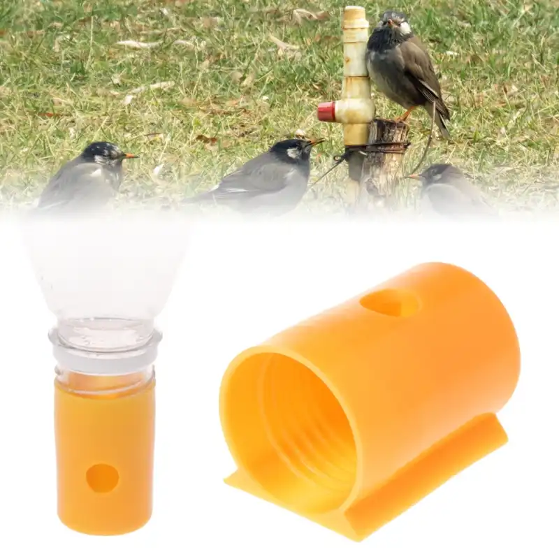 Bird Water Feeder Drinker Feeding Cup Parrot Pigeon Plastic