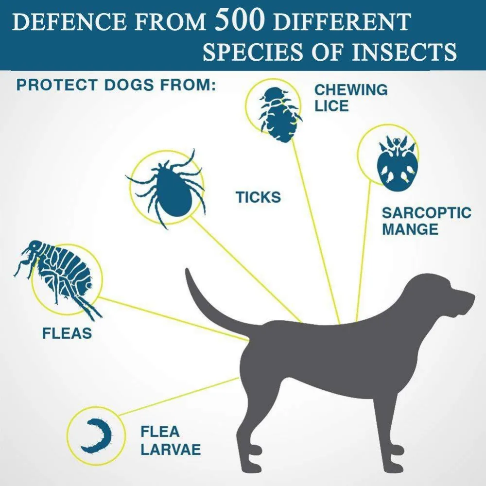 Ошейник для кошек собак и домашних животных регулируемый PVC Dewel Flea Tick Proeessional
