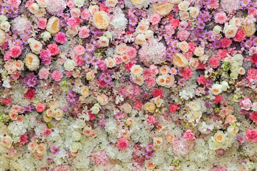 Красивый сайт цветов. Цветочный фон. Фон в мелкий цветочек. Мелкие розовые цветы. Стена из цветов.