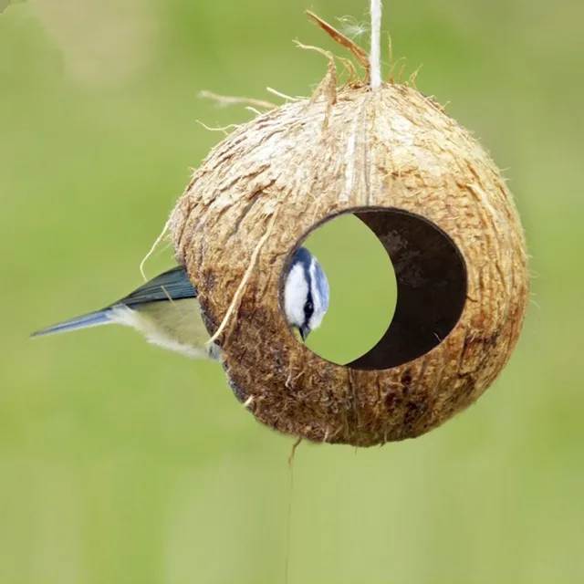 Pet Coconut Shell Bird Parrot Nest House Hut Cage Feeder Toy With Chain Budgie Parakeet Cockatiel Conure Hideaway Husk 4