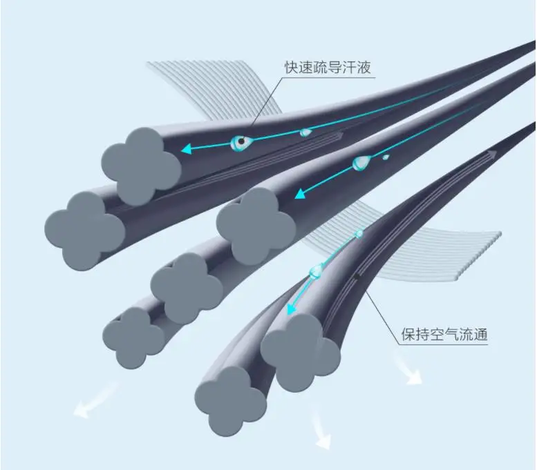 36020190424212653370