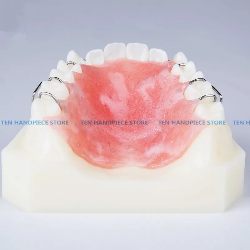 Хорошее качество 1 шт. Стоматологическая Ортодонтическая модель прибора с зубами тренажер фиксатор брекеты обучение и наука