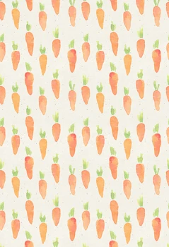 

HUAYI carrot backdrops for photography vinyl backdrops newborns background baby shower XT-5648