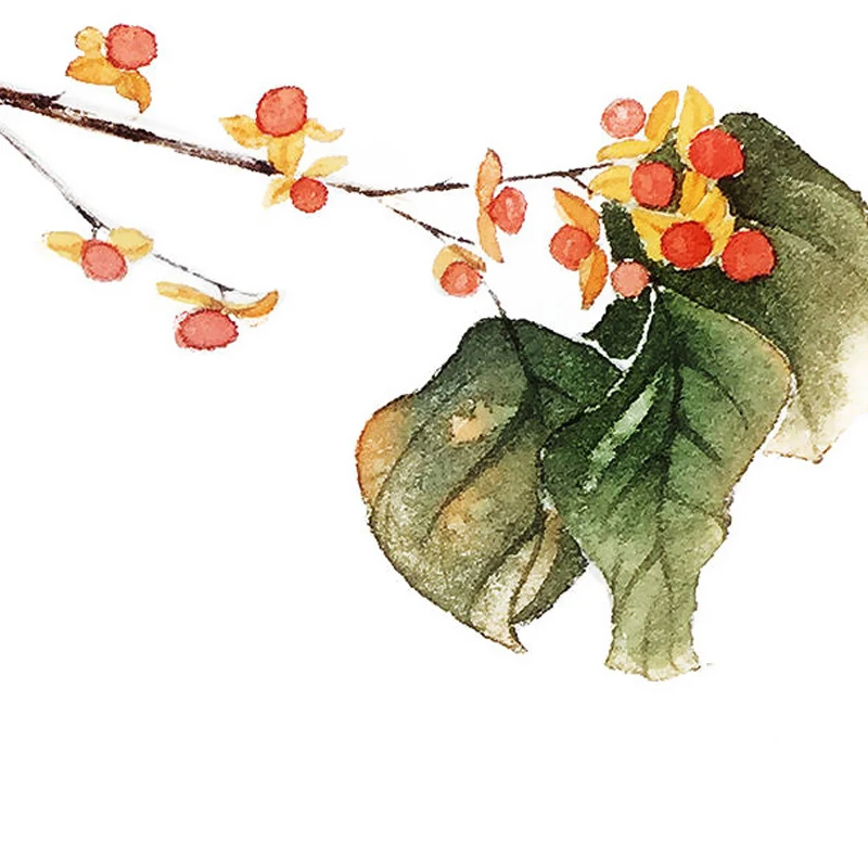 Watercolor-Flower-Art-Posters-and-Prints-Ballet-Dance-Wall-Art-Canvas-Painting-Picture-For-Living-Room (5)