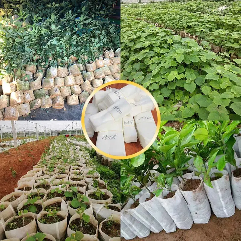 

Seedling Pots 100PCS/Lot Plant Grow Bags Aeration Biodegradable Different Sizes Eco-Friendly Nursery Bags Non-woven