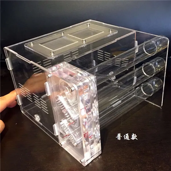 3-tubes-ant-nest (1)
