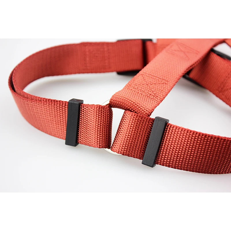 dog harness 5