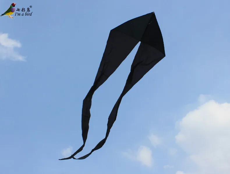 Y6