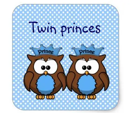 1.5 дюйма twin Сова Princes Square стикер