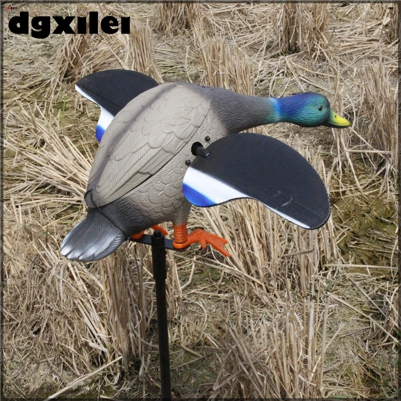 XL-1805-4 (1)