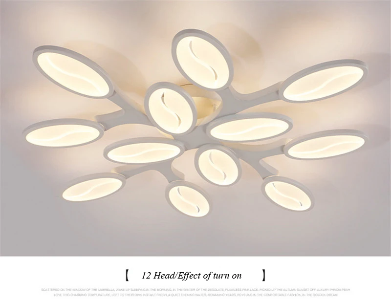 Post modern ceiling lamp (21)