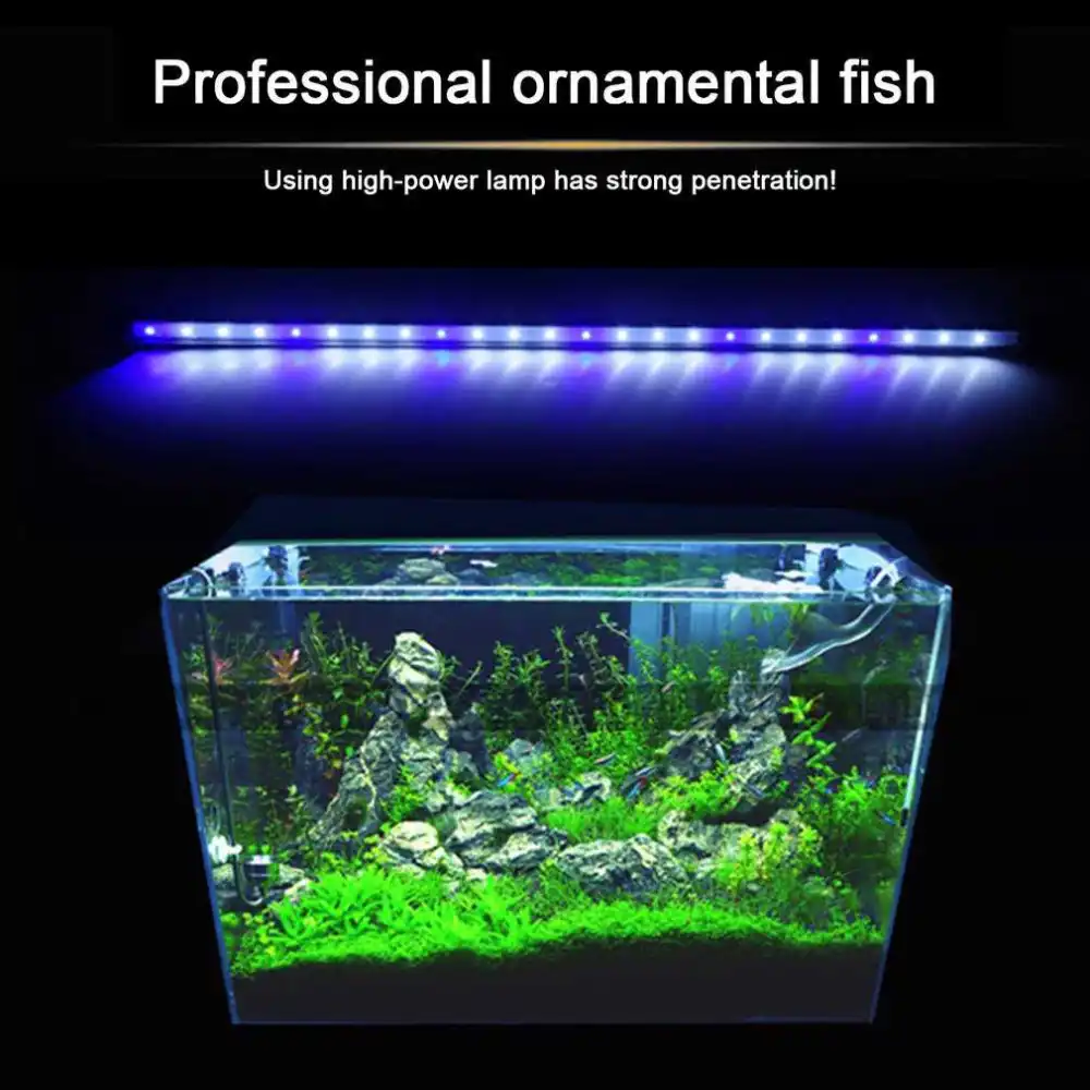 2 colores acuario pecera luz led uso con anfibios blanco azul rojo azul verde color de luz sumergible impermeable clip lampara