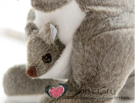 baby kangaroo(1).jpg