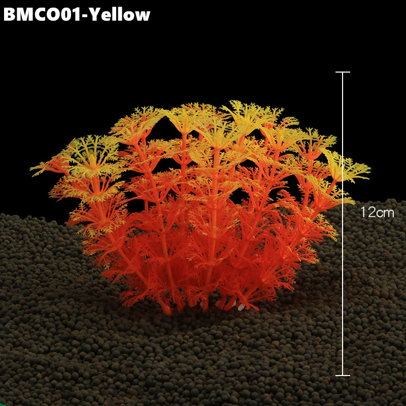 BMCO02 (6)