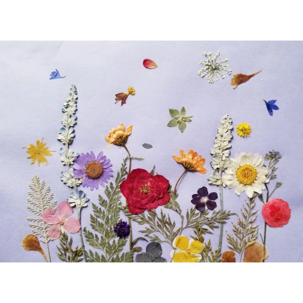 MagiDeal 12x Pressed Real Godetia Flower Dried Flowers DIY Phone Case Scrapbook Craft Artificia Flowers for Wedding Invitations
