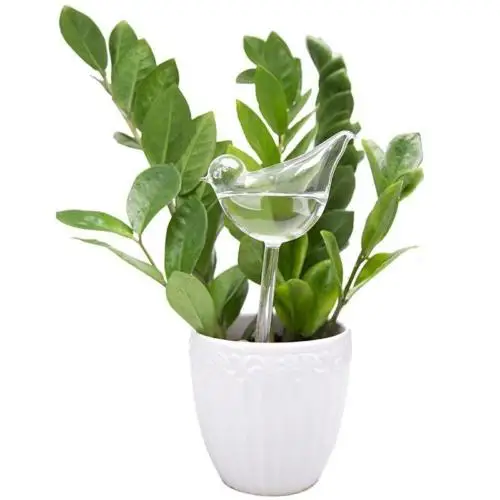 

New Style Glass Automatic Self Plant Bird Watering Device Indoor Houseplant Home Garden