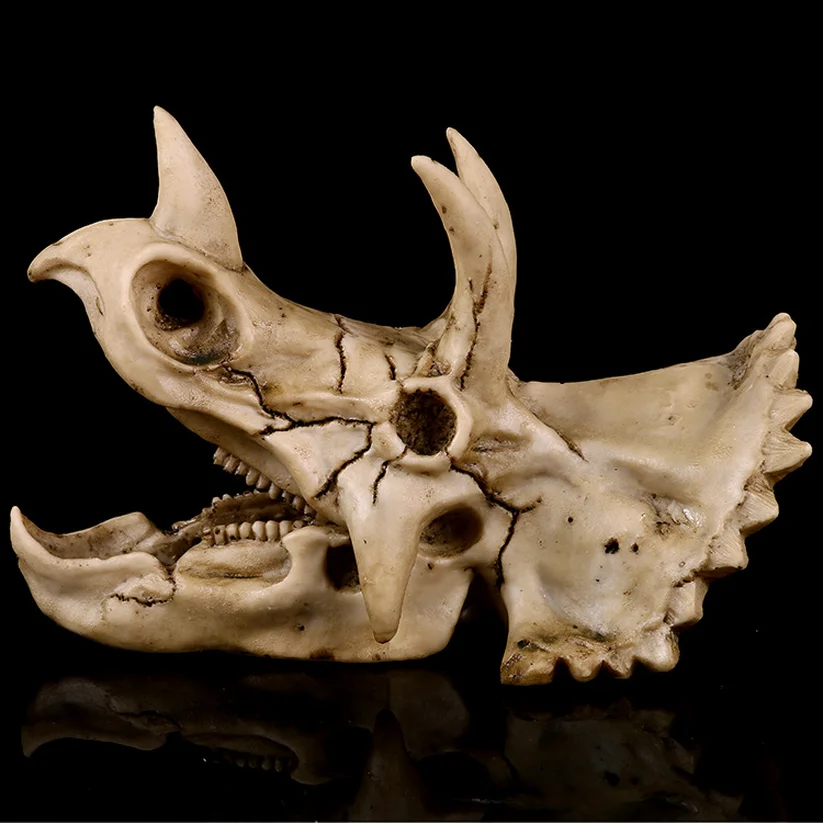 

18cm DIY Resin Dinosaur Triceratops Skull Bone Animal Model Craft Skeleton Educational Science Toy Gift Office Decoration