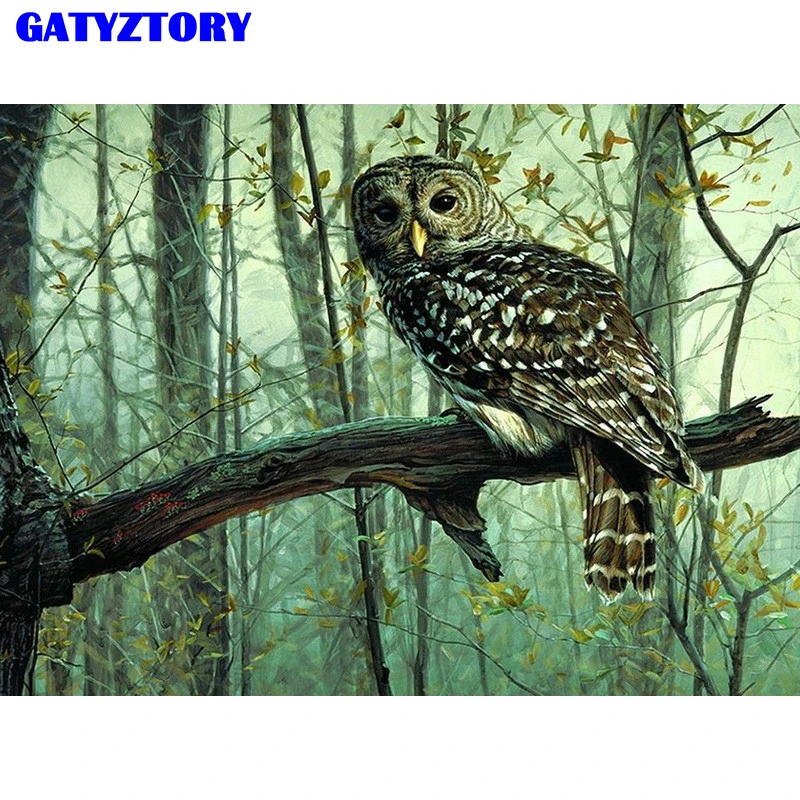 

Frameless Picture DIY Painting By Numbers Owl Animals Acrylic Picture Kits Drawing Paint On Canvas For Home Wall Art Picture
