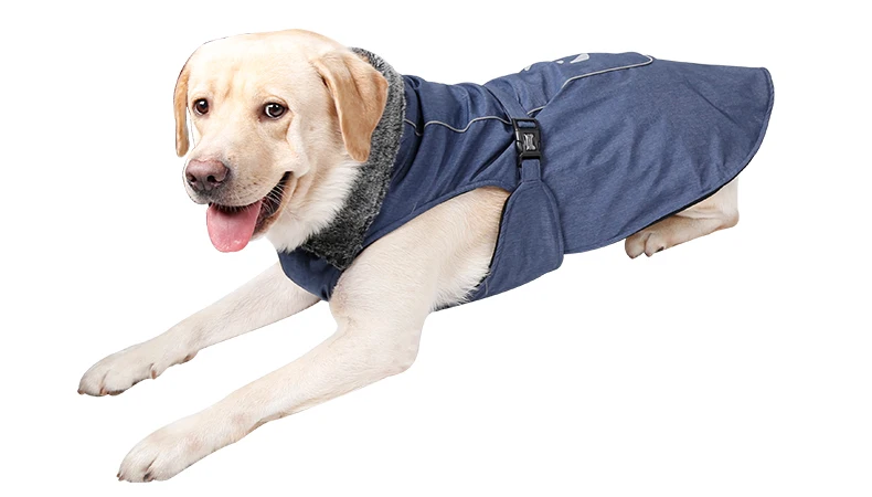 Dog Jacket Waterproof  (49)
