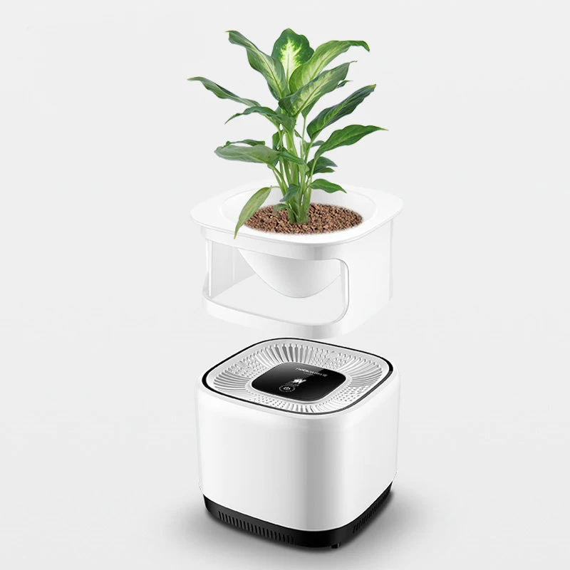 Diy Plant Air Purifier Household Portable Disinfector 3 In 1 Diy Plant Air Purifier Household Portable Disinfector 3 In 1 Composite Filter Negative Lon Essential Oil Fragrance Humidifie Purifiers From Home