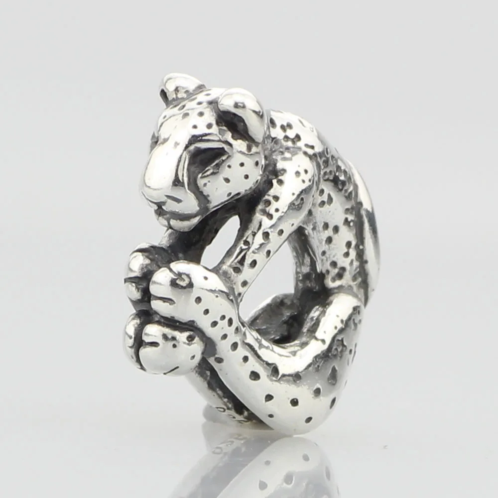 Leopard  (5)