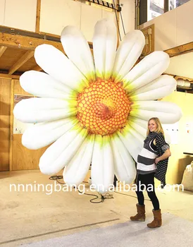 

Free shipping diameter 3m Beautiful inflatable daisy flower,inflatable daisy