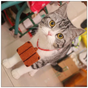 

Cat Travel suitcase collar