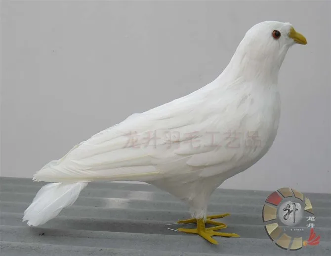 

simulation dove toy about 35x20cm white peace bird model toy craft,photography props,teaching props,garden decoration a1896