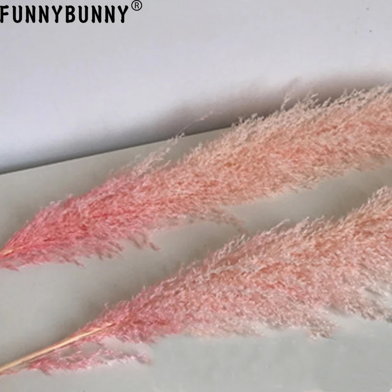 FUNNYBUNNY 1 шт. розовый тростниковый тростник сушеный цветок шипы сушеные цветы