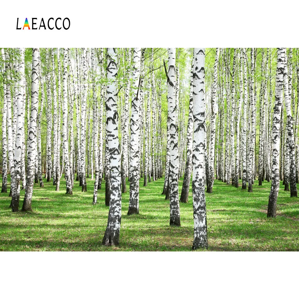 

Laeacco Spring Forest Trees Landscape Photography Backgrounds Customized Photographic Backdrops For Photo Studio