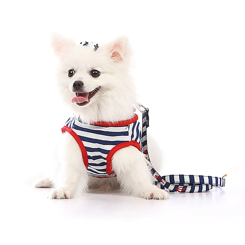 T2B7uaXc8aXXXXXXXX_!!137856707