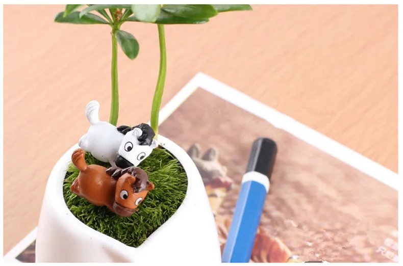 1482028929_1198909629