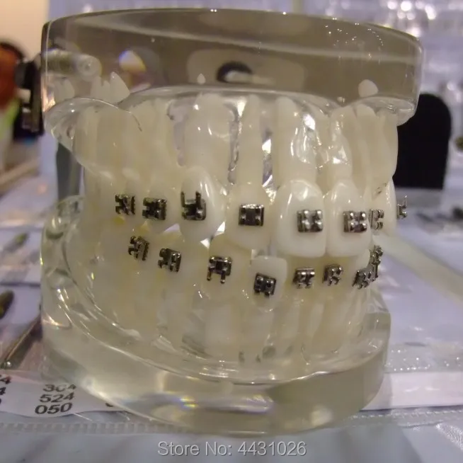 ENOVO Orthodontic training model orthodontic training orthodontic orthodontic arch wire bending system цена ENOVO Orthodontic training model orthodontic training orthodontic orthodontic arch wire bending system цены онлайн