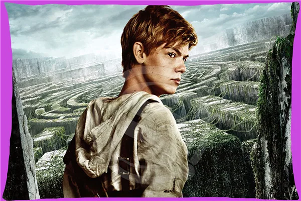 

Hot Sale The Maze Runner Rectangle Pillowcases zipper Fashion Custom Pillow Case 35x45cm SQ00707-@H055