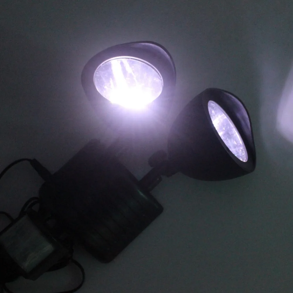 3257744125_721131381