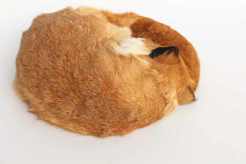 artificial fox 5