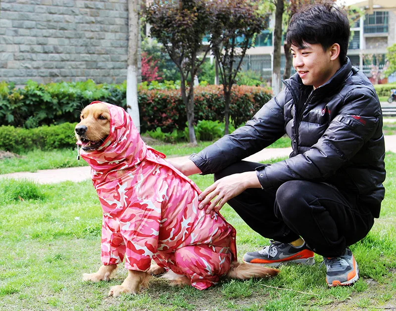 pet 07