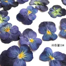 10 шт./лот, два цвета, сладкие фиолетовые маленькие сушеные цветы, консервированные цветы, материалы для самостоятельной закладки, мобильный телефон, оболочка, карта