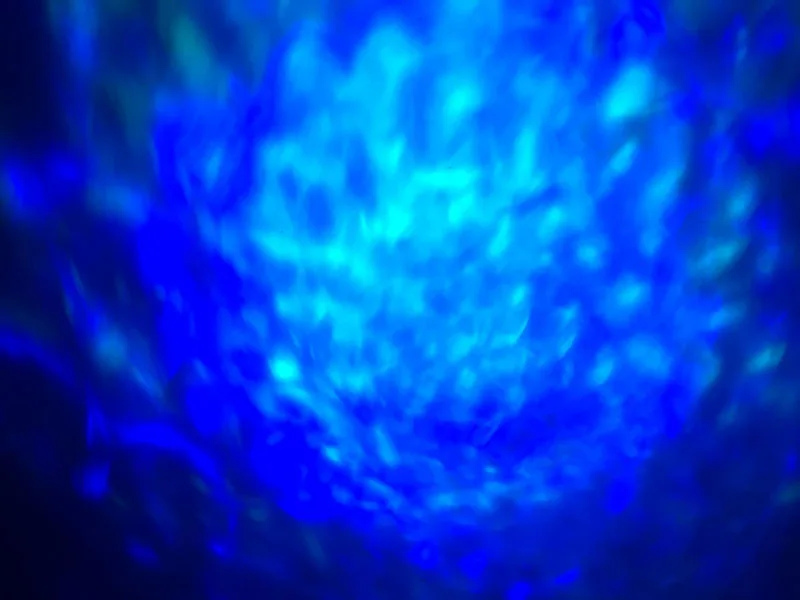 3315068461_163712526