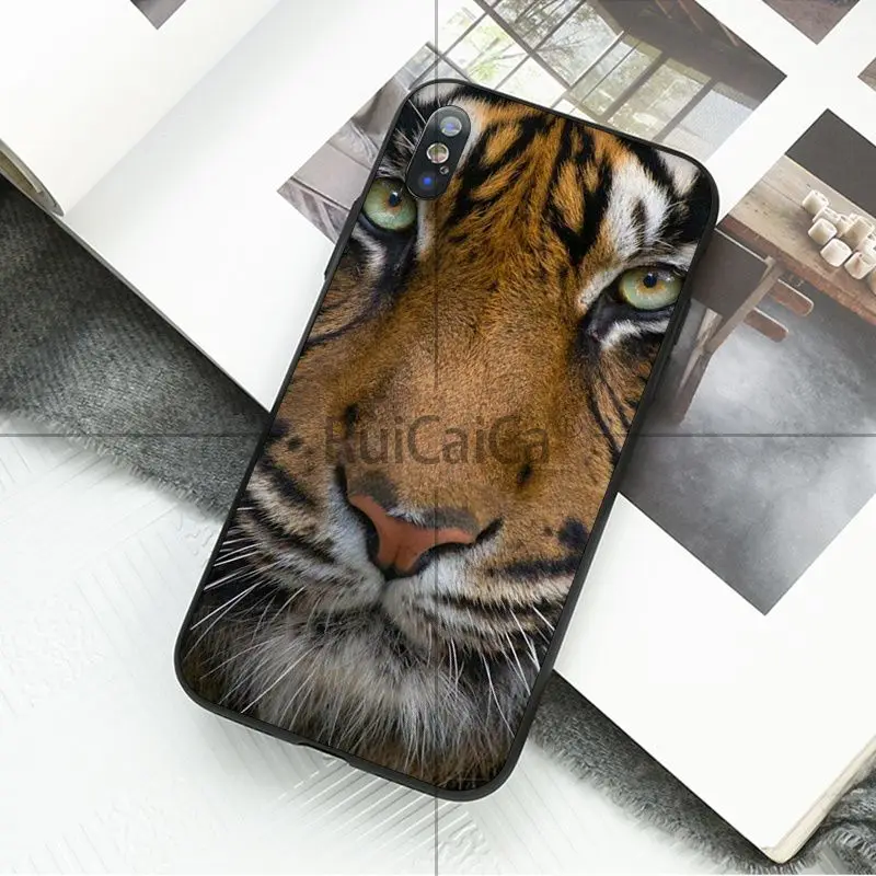 animal tiger