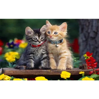 

Diy 100% pintura diamante gato 35 x 20 cm 2016 new ponto cruz broca strass colado pintura decoracao home decoration frete w45