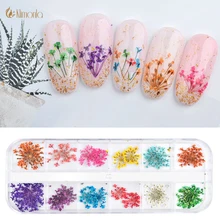 3D высушенный цветок для ногтей украшения 12 цветов натуральный цветочный стикер красота дизайн ногтей наклейки DIY гель лак маникюрные аксессуары