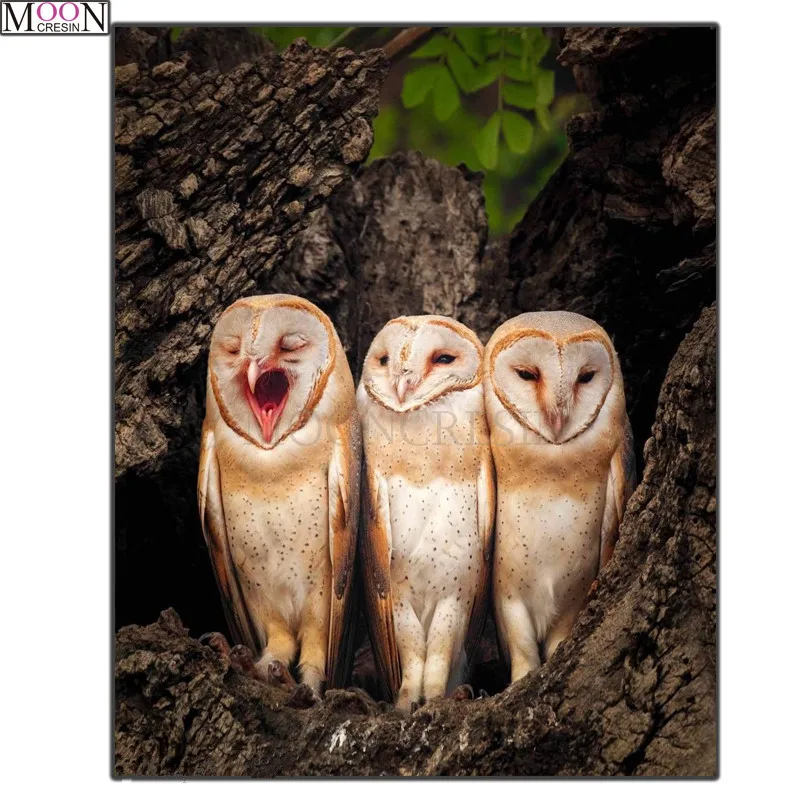

5D DIY Diamond Painting Cross Stitch Three Nightingale Diamond Embroidery Square Drill Diamond Mosaic Decoration Aniamls Owl Kit