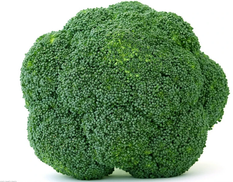 Image result for broccoli seeds