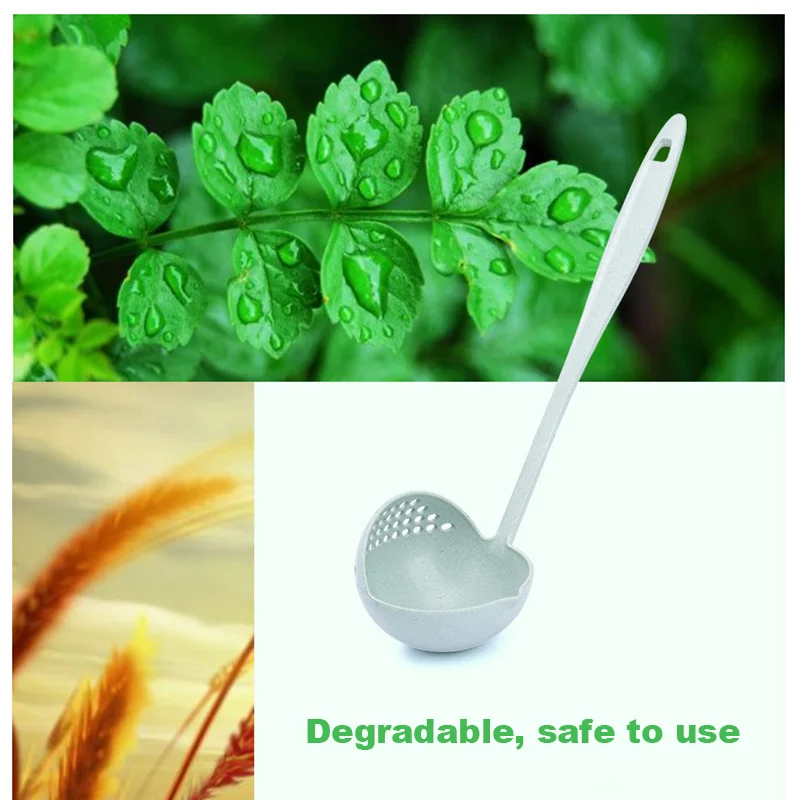 Soup spoon (11)