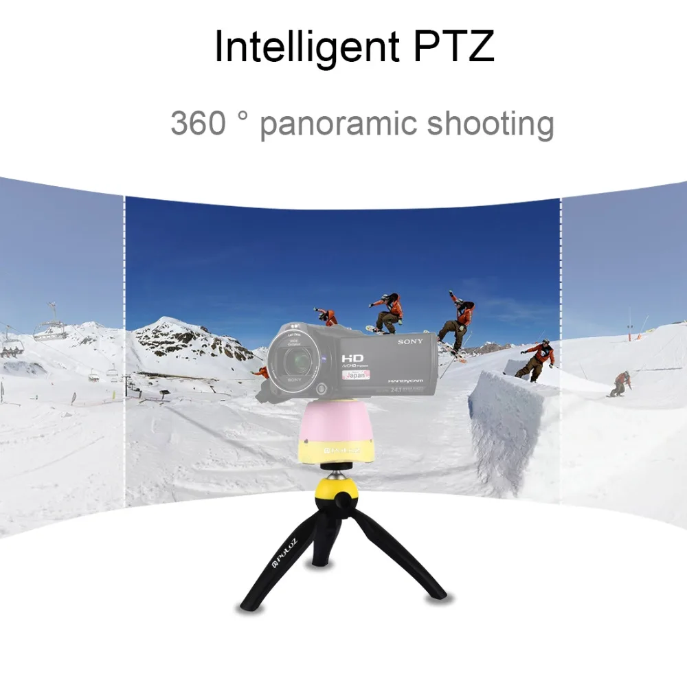 PU365Y_6