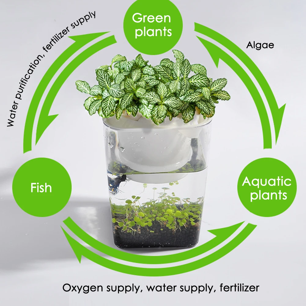 Анти-осенние пакеты для хранения рыбы и овощей Симбиотическая водная трава настольный мини аквариум экологический пластик удобный аквариум для выращивания растений