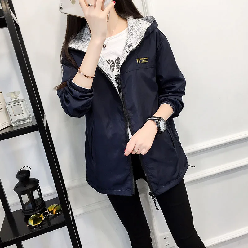 4595867084_261991622