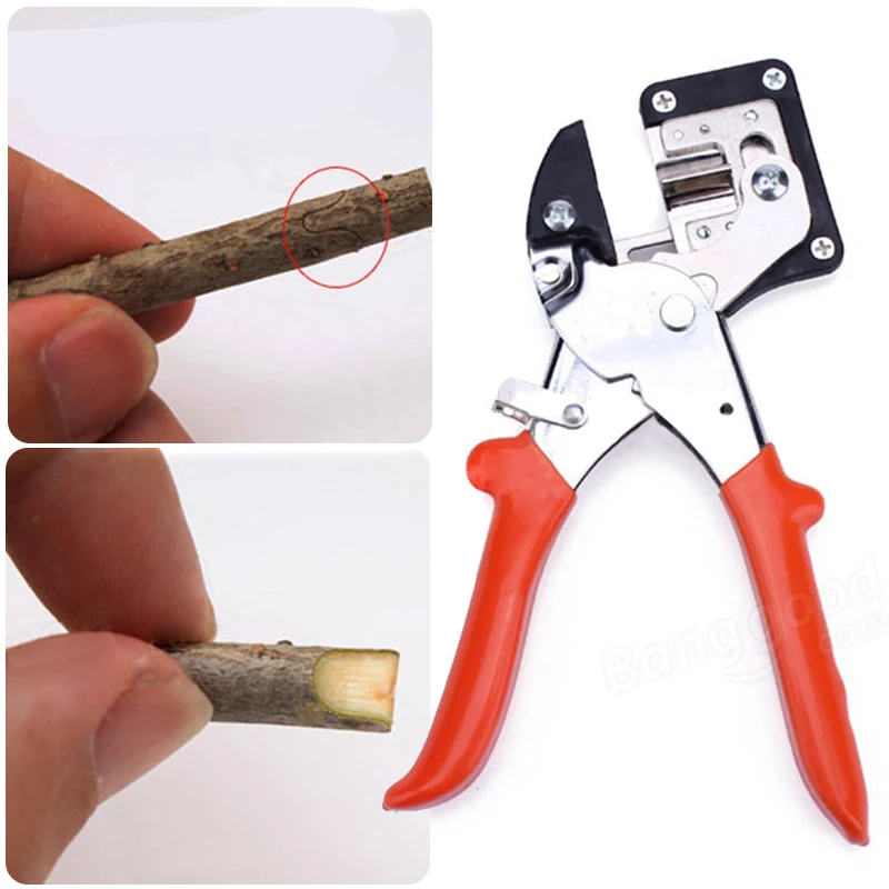 DWZ Fruit Tree Pro Carbon Steel Pruning Scissor Grafting Cutting Tool Garden